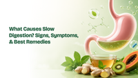 What Causes Slow Digestion? Signs, Symptoms, & Best Remedies