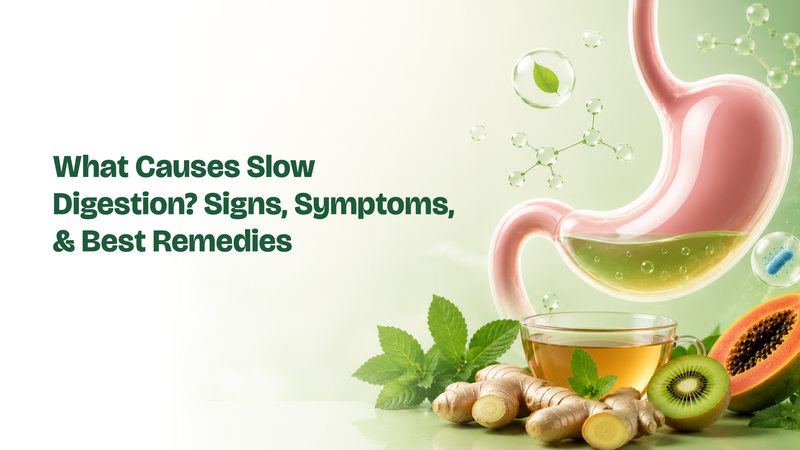 Common causes of a slower and poorer digestive system