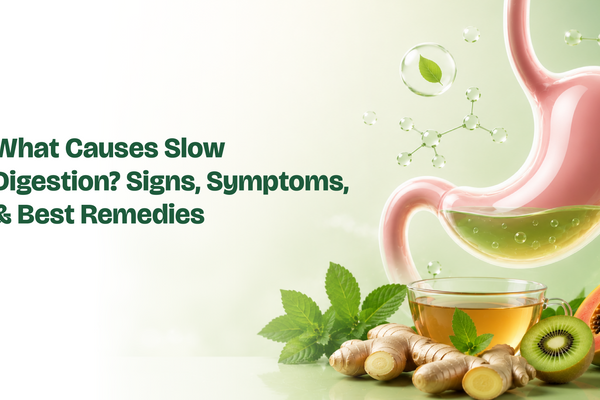What Causes Slow Digestion? Signs, Symptoms, & Best Remedies