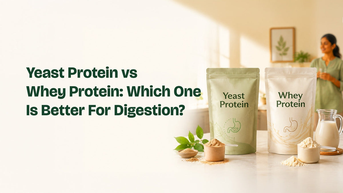 Yeast Protein vs Whey Protein: Which One Is Better For Digestion?