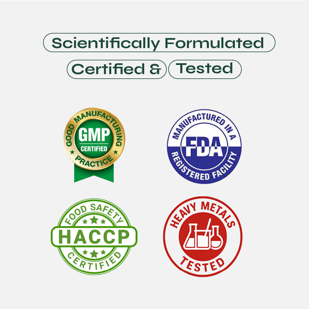 Fitty Fermented Yeast Protein for Weight Loss | 25g Protein | Chocolate (500 g)