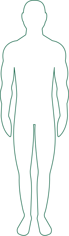 Thin Body outline